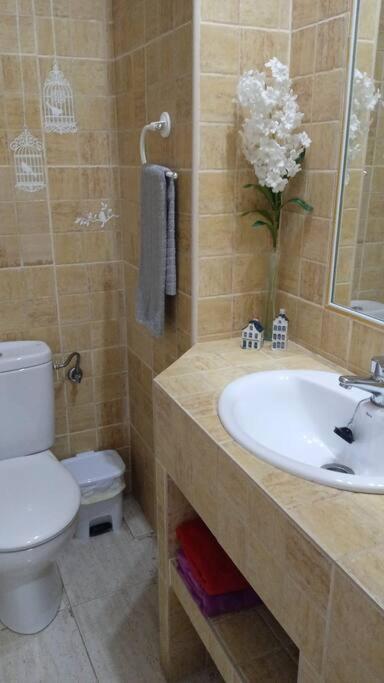 Acogedor Apartamento Jv36 科爾多瓦 外观 照片